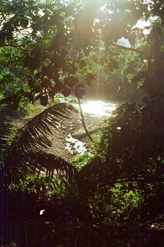 A view of the Rio Cumbaza from Nova Terra