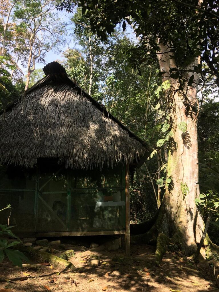 Ojé dieta cabin at Nova Terra