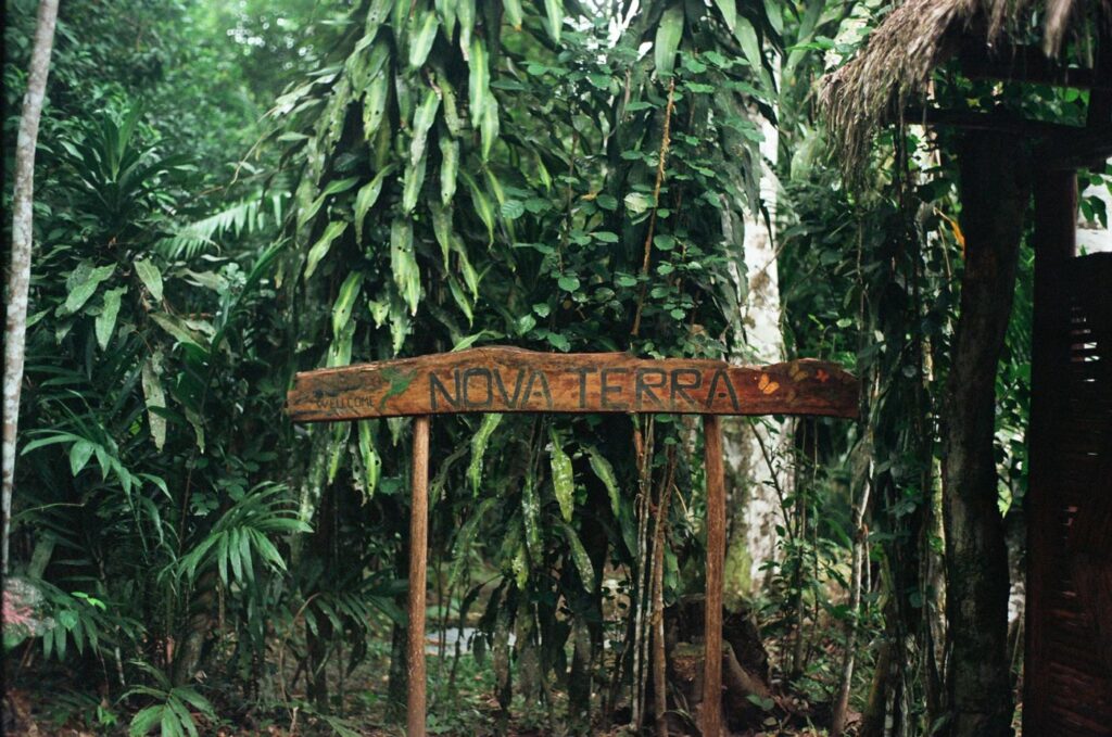 Nova Terra Plant Diet retreat center near Tarapoto